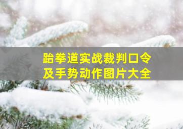 跆拳道实战裁判口令及手势动作图片大全