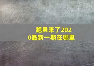 跑男来了2020最新一期在哪里