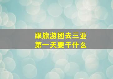 跟旅游团去三亚第一天要干什么