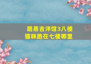 路易吉洋馆3八楼猫咪跑在七楼哪里