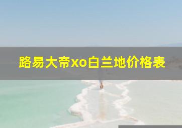 路易大帝xo白兰地价格表