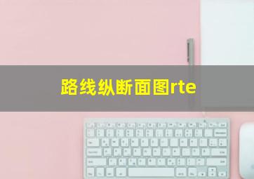 路线纵断面图rte