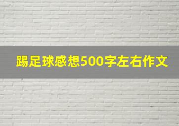 踢足球感想500字左右作文