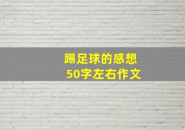 踢足球的感想50字左右作文