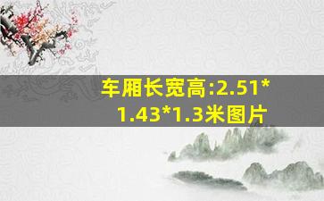 车厢长宽高:2.51*1.43*1.3米图片