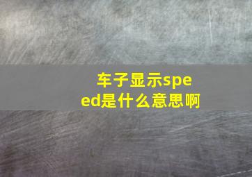 车子显示speed是什么意思啊