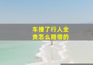 车撞了行人全责怎么赔偿的