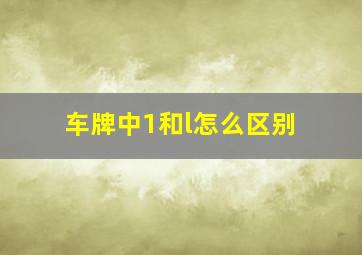 车牌中1和l怎么区别