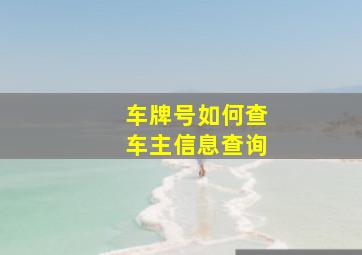 车牌号如何查车主信息查询