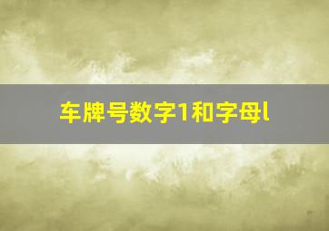 车牌号数字1和字母l