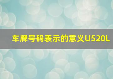 车牌号码表示的意义U520L