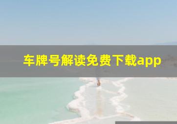 车牌号解读免费下载app