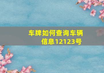 车牌如何查询车辆信息12123号