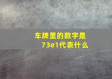 车牌里的数字是73e1代表什么