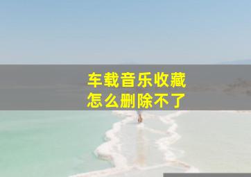 车载音乐收藏怎么删除不了