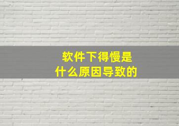 软件下得慢是什么原因导致的