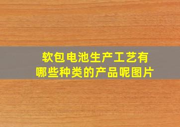 软包电池生产工艺有哪些种类的产品呢图片