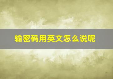 输密码用英文怎么说呢