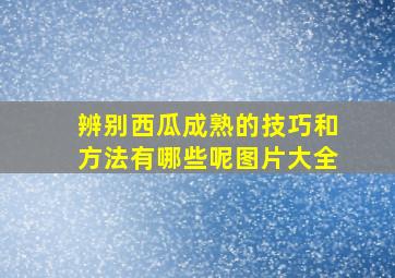 辨别西瓜成熟的技巧和方法有哪些呢图片大全