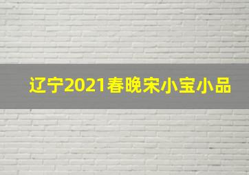 辽宁2021春晚宋小宝小品