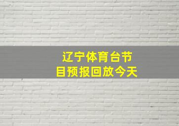 辽宁体育台节目预报回放今天