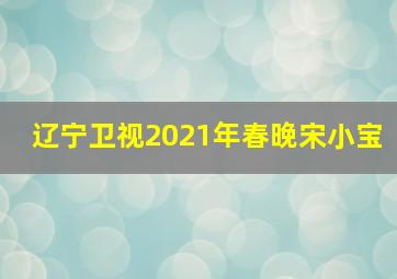 辽宁卫视2021年春晚宋小宝