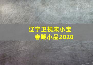 辽宁卫视宋小宝春晚小品2020