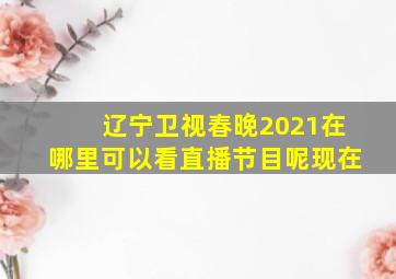 辽宁卫视春晚2021在哪里可以看直播节目呢现在