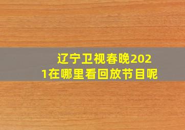 辽宁卫视春晚2021在哪里看回放节目呢