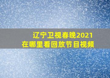 辽宁卫视春晚2021在哪里看回放节目视频