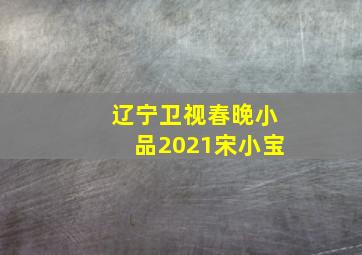 辽宁卫视春晚小品2021宋小宝