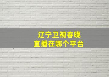 辽宁卫视春晚直播在哪个平台