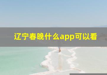 辽宁春晚什么app可以看