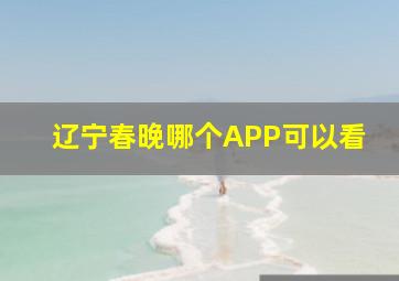 辽宁春晚哪个APP可以看