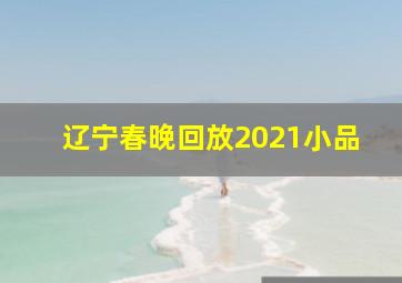 辽宁春晚回放2021小品