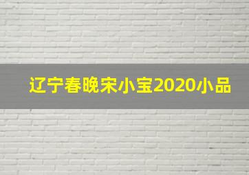 辽宁春晚宋小宝2020小品