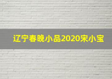 辽宁春晚小品2020宋小宝