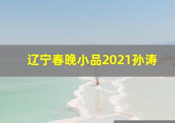 辽宁春晚小品2021孙涛