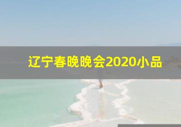 辽宁春晚晚会2020小品