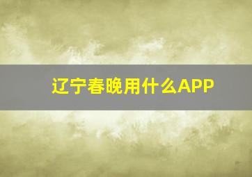 辽宁春晚用什么APP