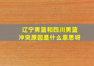 辽宁男篮和四川男篮冲突原因是什么意思呀