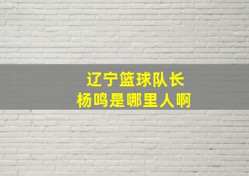 辽宁篮球队长杨鸣是哪里人啊