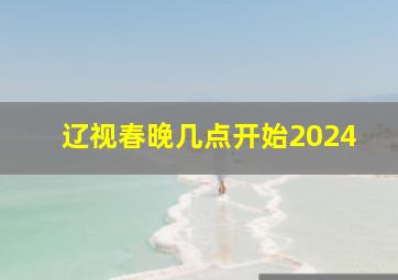 辽视春晚几点开始2024