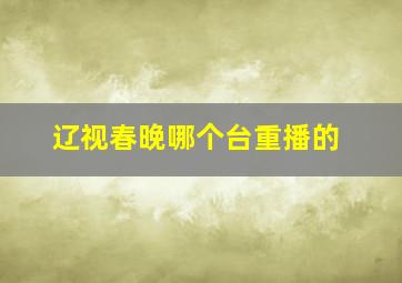 辽视春晚哪个台重播的