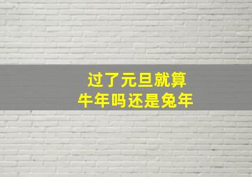 过了元旦就算牛年吗还是兔年