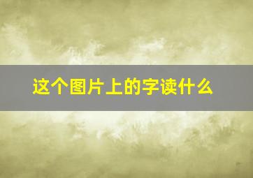 这个图片上的字读什么