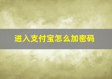 进入支付宝怎么加密码