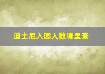 迪士尼入园人数哪里查