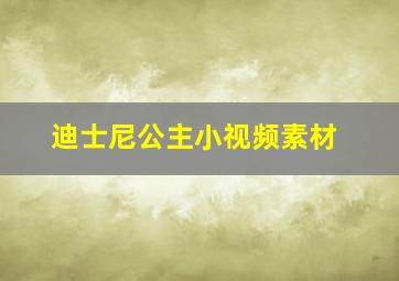 迪士尼公主小视频素材