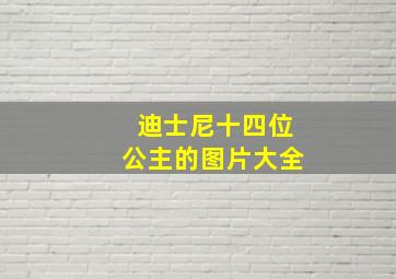 迪士尼十四位公主的图片大全